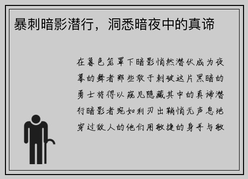 暴刺暗影潜行，洞悉暗夜中的真谛