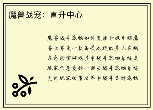 魔兽战宠：直升中心